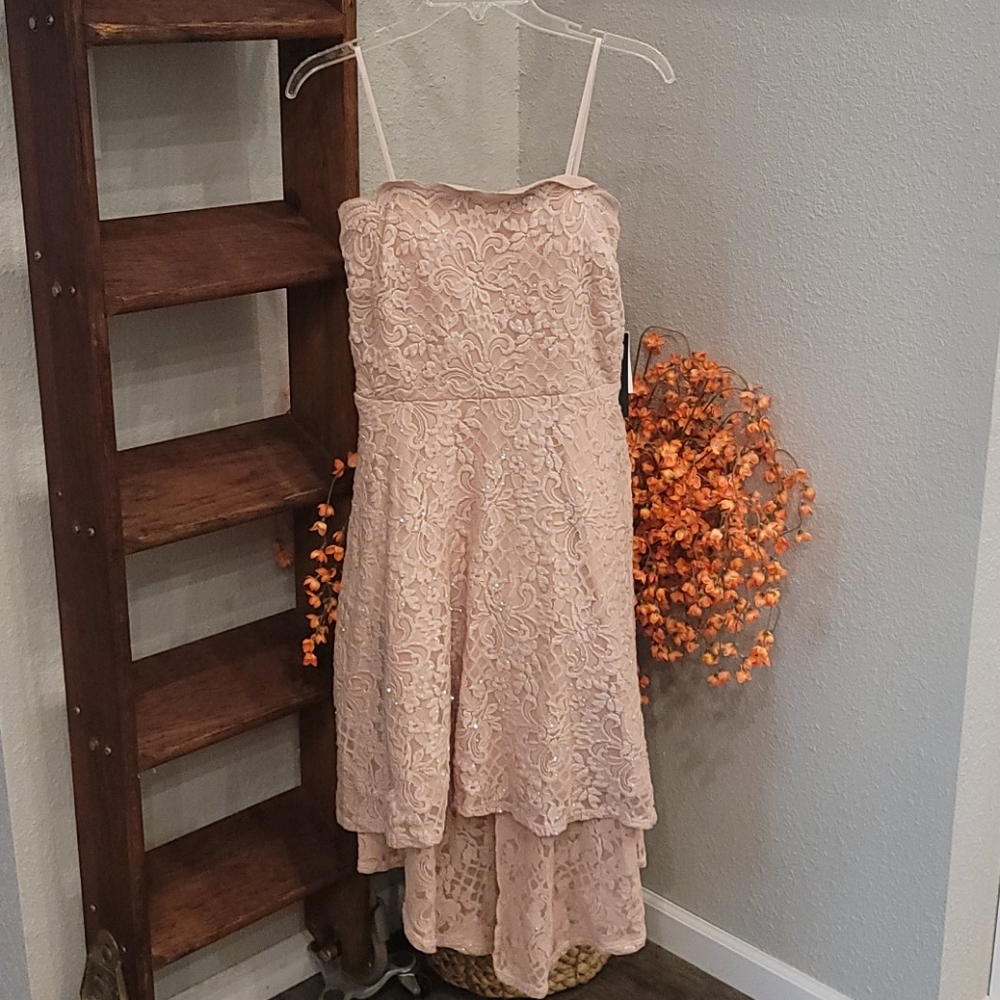 Beautiful blush high low dress BNWT